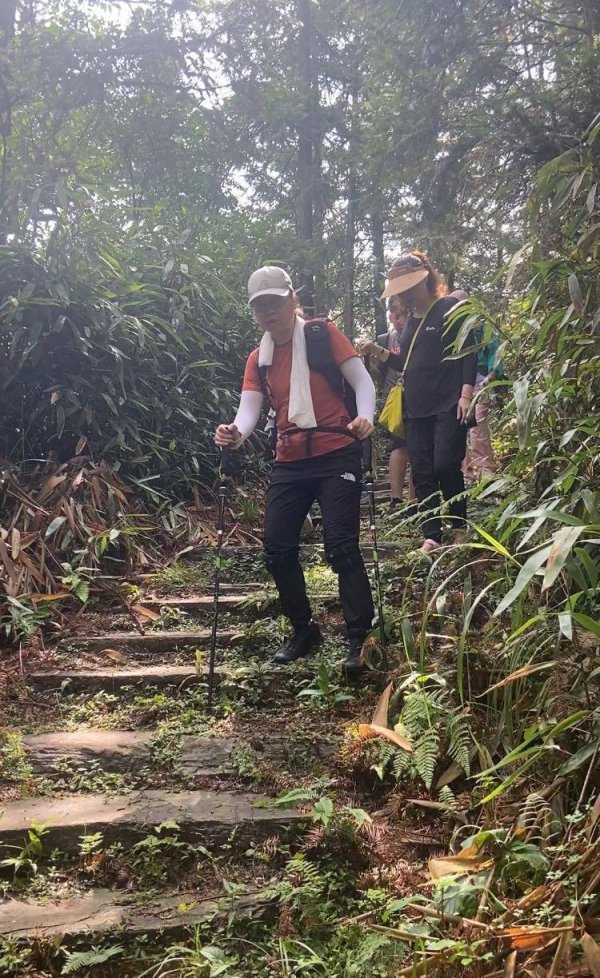 恒利决策 重走千年茶马道，“片叶度关山”万里茶路中国行深入安化古道探源